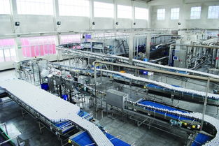 制砂与石料生产线管理服务 上海与浙江的生产优化实践