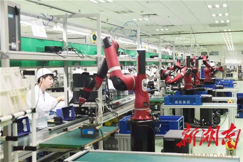 构筑长沙“智造”新高地 高新区30家企业入选智能制造试点名单，引领生产线管理服务升级