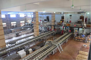 黑金长出金叶子 安化引爆中国茶界的“三安模式”与生产线管理服务